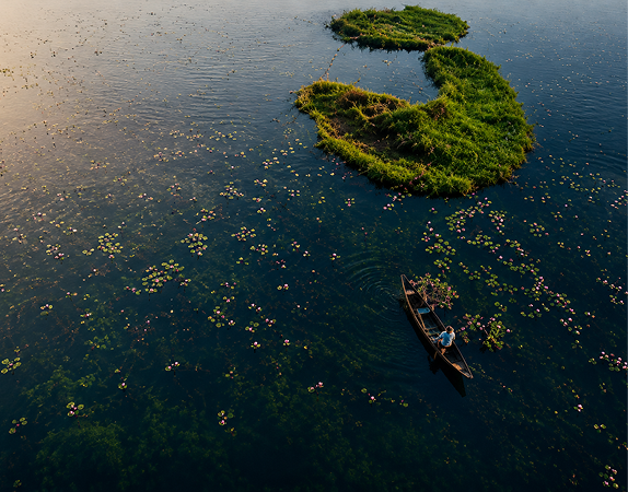 Floating phumdi on Loktak Lake